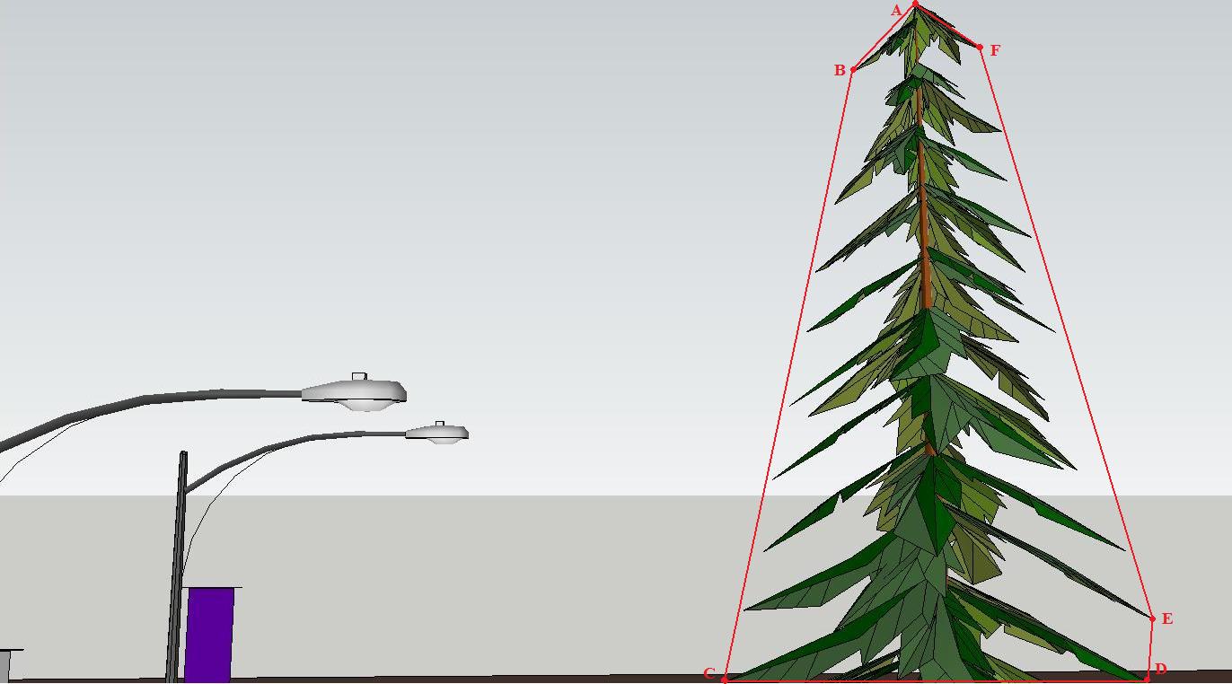 Détermination des points caractéritiques de la géométrie de l'arbre